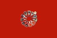 济宁金乡回收红酒